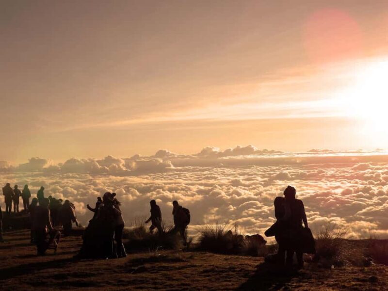 From Cusco: Ecological Adventure 5 Days - The Practicalities: Whats Included and Whats Not