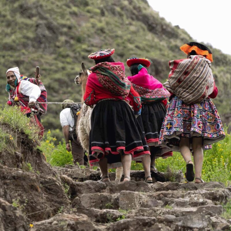 From Cusco: Full day Inti Ñan hike with Llamas - From Cusco: Full Day Inti Ñan Hike with Llamas — A Practical Guide