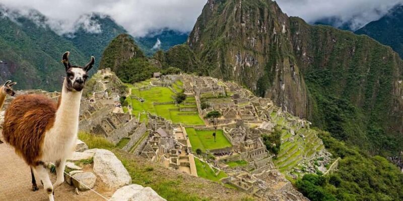 From Cusco: Full-Day Machu Picchu Tour with Lunch |Private| - The Journey to Machu Picchu