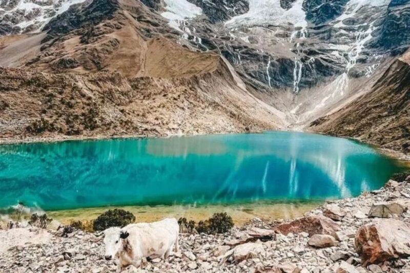 From Cusco: Full-day Tour to Humantay Lake - Frequently Asked Questions