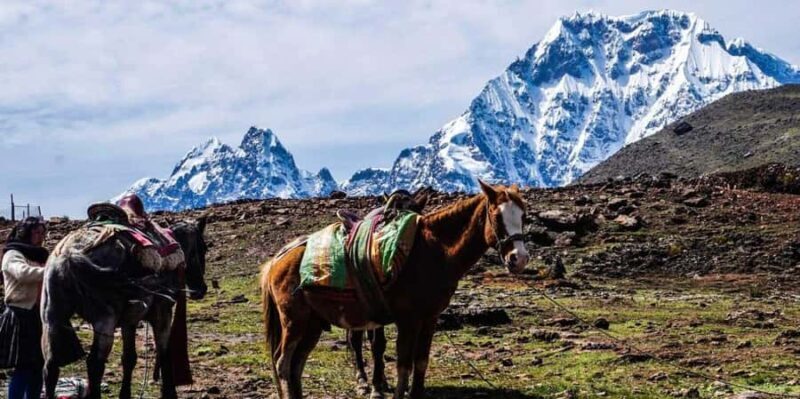 From Cusco: Full Day Tour to the 7 Ausangate Lagoons - Who Would Love This Tour?