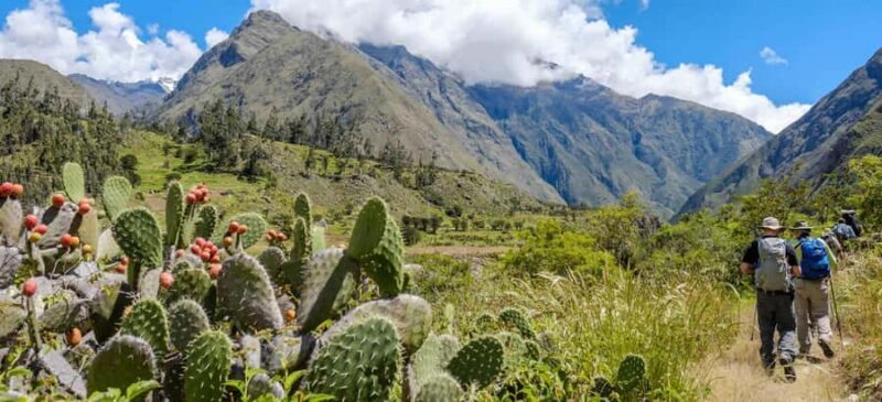 From Cusco: Inca Trail 4Days 3Nights - FAQ