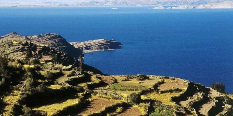 From Cusco: Lake Titicaca 1-Day Sleeper Bus Tour + Lunch - Exploring Uros Island: Artificial Islands Built with Totora