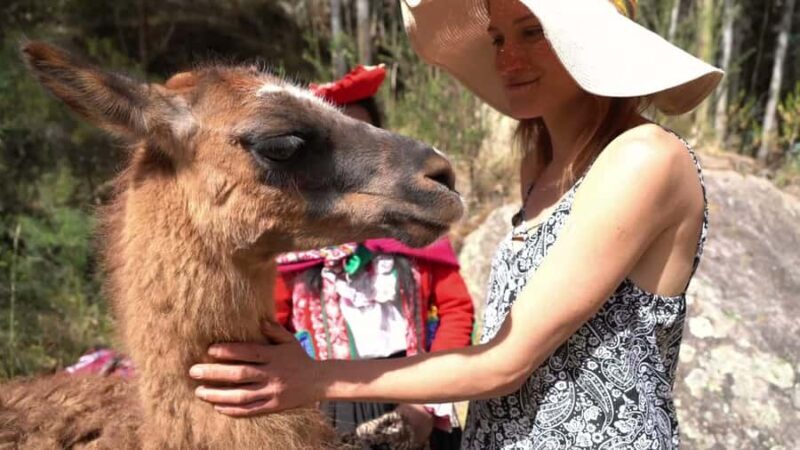 From Cusco: Llama and Alpaca Walk to Intipunku - Key Points