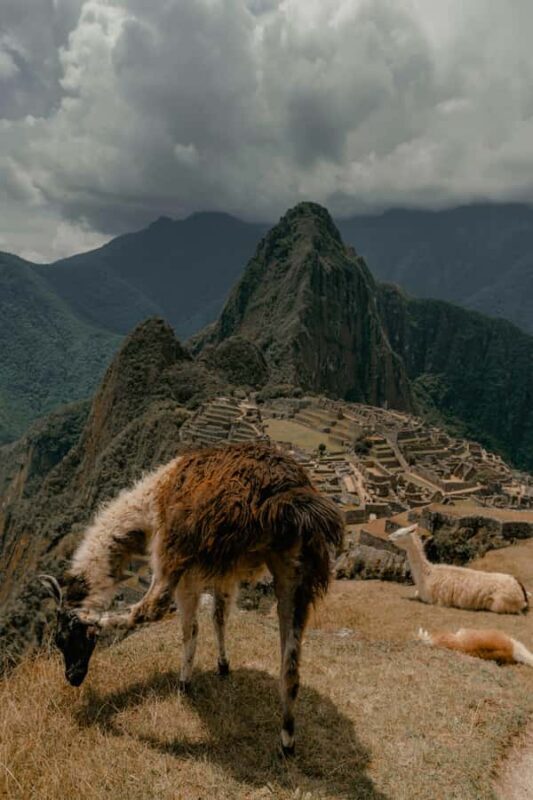 From Cusco: Machu Picchu and 4-day Inca Trail with train included - Who Should Consider This Tour?