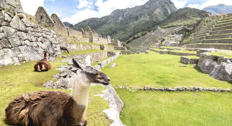 From Cusco: Machu Picchu day trip - Exploring Machu Picchu on a One-Day Trip from Cusco