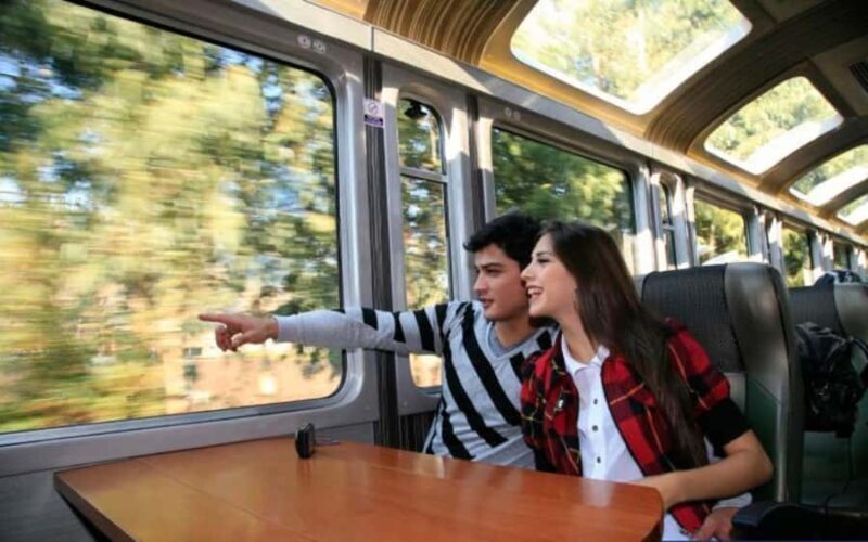 From Cusco: Machu Picchu Private Day Trip on Panoramic Train - Key Points
