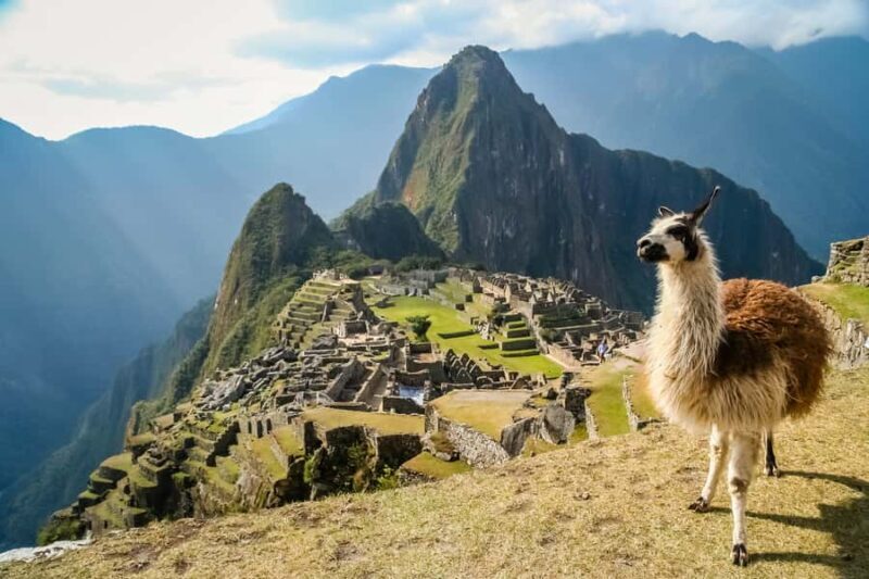 From Cusco: Machu Picchu Private Tour & Entry Ticket - Who is this tour best for?