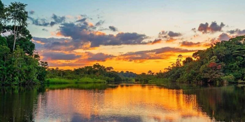 From Cusco: Manu Cultural Zone Tour 3 Days - Day 3: The Macaw Clay Lick and Return to Cusco
