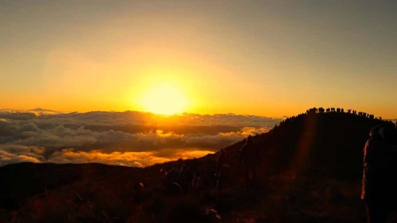 From Cusco: Manu Tree House 4 days/3 nights - Final Thoughts: Why Choose the Manu Tree House Tour?