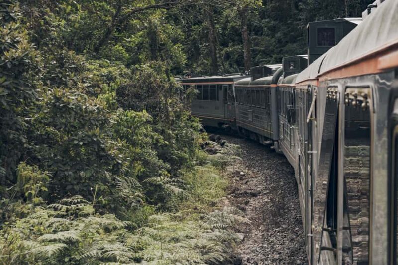 From Cusco: One-Day Tour to Machu Picchu - FAQ