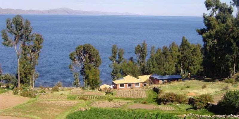 From Cusco: Overnight Bus to Puno with Lake Titicaca Tour - The Journey from Cusco to Puno
