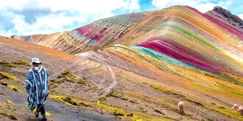 From Cusco: Palccoyo Mountain+Forest Stones |Private| - Key Points