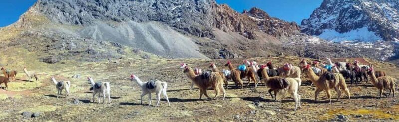 From Cusco: Private tour 7 lakes - Ausangate - Practical Details and Tips for Your Trip