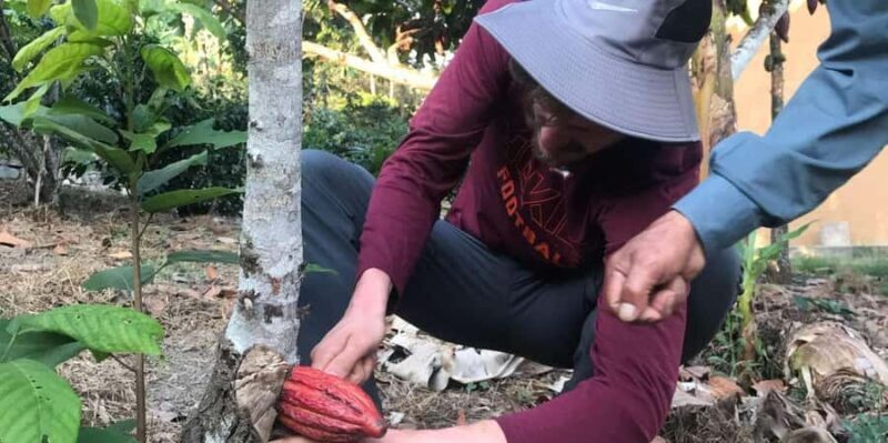 From Cusco: Quillabamba and Cocoa Farm 2-Day Tour - From Cusco: Quillabamba and Cocoa Farm 2-Day Tour — A Practical Adventure into Peruvian Nature and Flavors