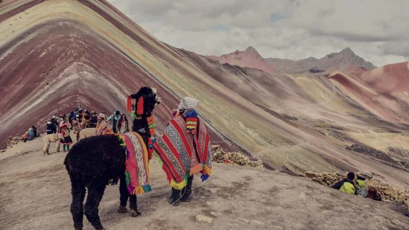 From CUSCO: Rainbow Mountain Day Trip - The Real Value of the Tour