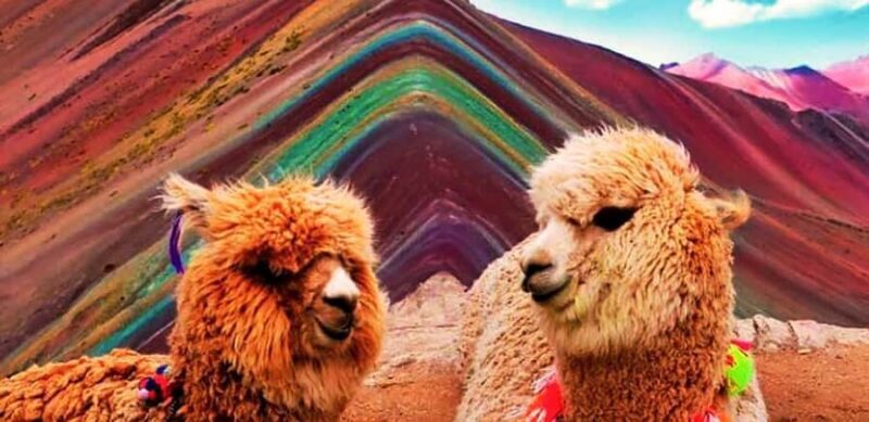 From Cusco: Rainbow Mountain Full Day Trek with Meals - FAQ