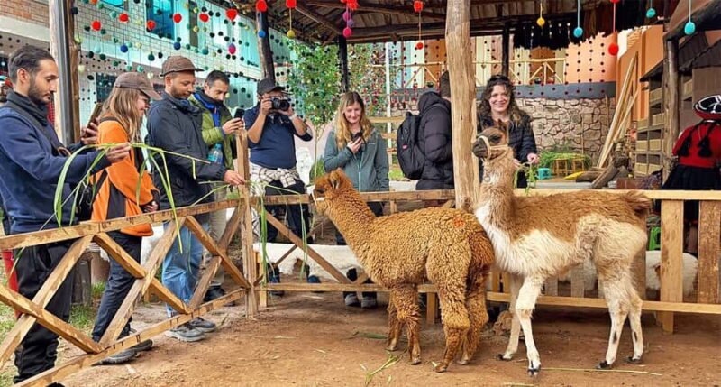 From Cusco: Sacred Valley & Maras Salt Mines Tour with Lunch - What the Reviews Say