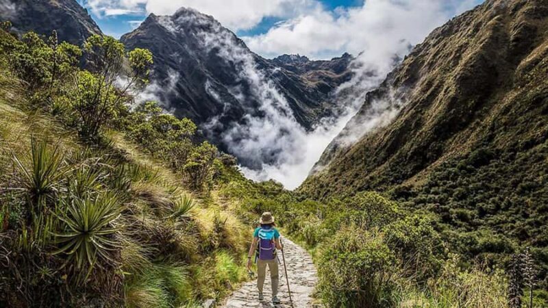 From Cusco: Salkantay trek 5 days/4 nights meals included - The Sum Up