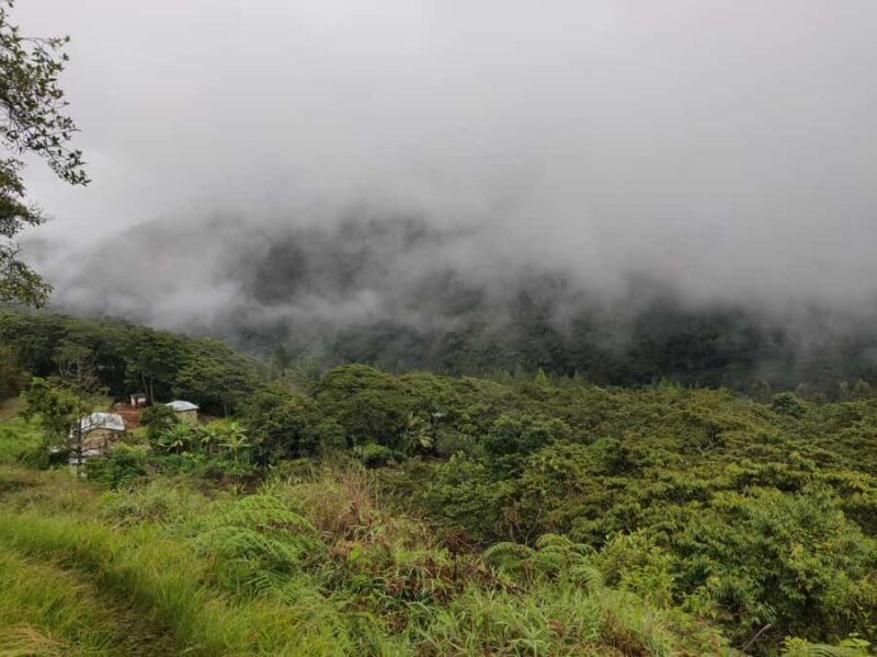 From Cusco: Salkantay trek 5 days 4 nights - Introduction to the Salkantay Trek