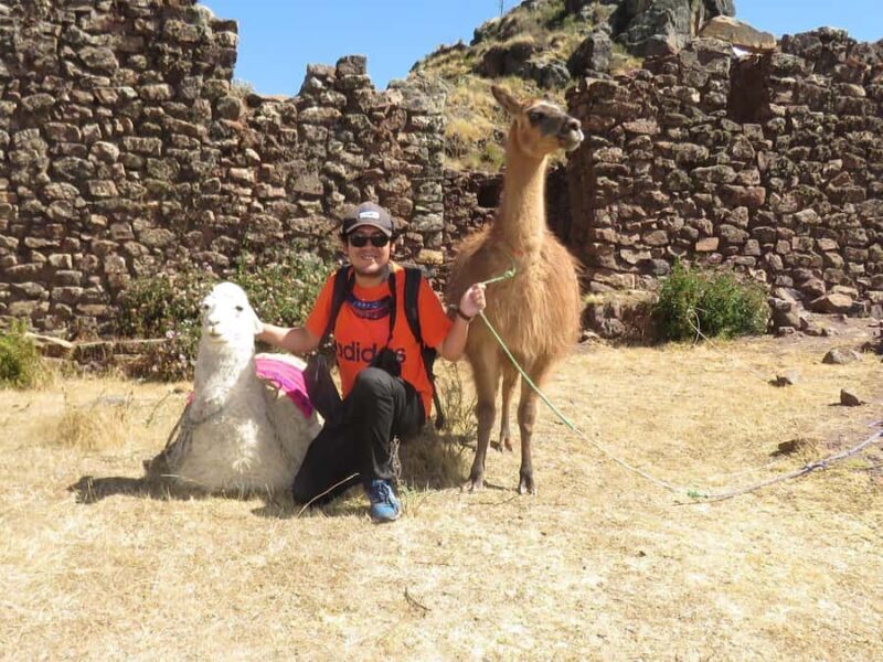 From Cusco: Tour to Chinchero/Maras/Moray+Picnic - Exploring the Sacred Valley: A Full-Day Adventure from Cusco