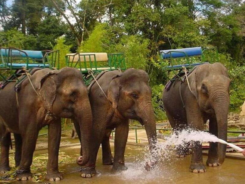 From Da Lat : 1-Day Da Lat Tour - Key Points