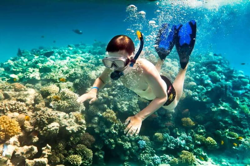 From Da Nang/Hoi An: Cham Islands Tour with Snorkeling - Who Will Enjoy This Tour?