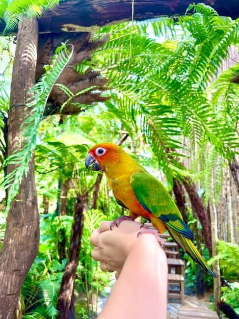 from Da Nang: Hoi An Instagram Cafe Tour with Rooftop View - Is This Tour Right for You?