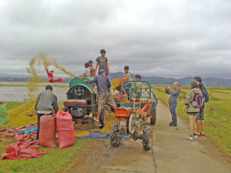 From Dalat: 4D3N Central Highlands Explorer Loop - Day 4: From Bao Loc to Dalat — Waterfalls, Villages, and Cultural Highlights