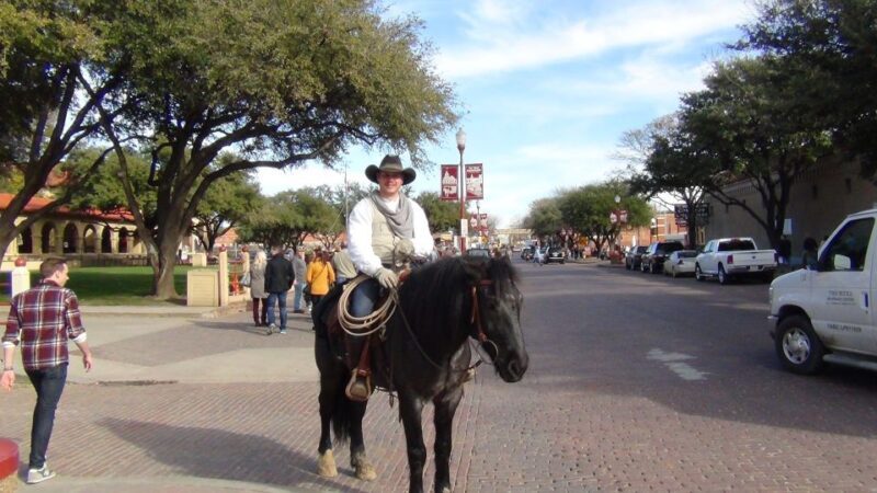From Dallas: Fort Worth Guided Day Tour - Who Is This Tour Best For?