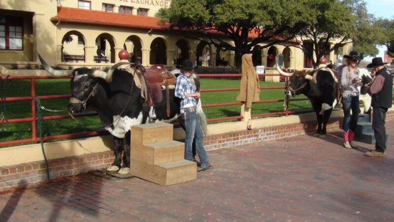 From Dallas: Fort Worth Guided Day Tour - FAQ