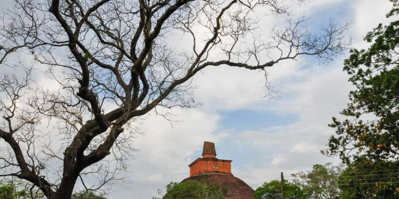 From Dambulla: Sacred City of Anuradhapura Private Day Tour - Final Thoughts