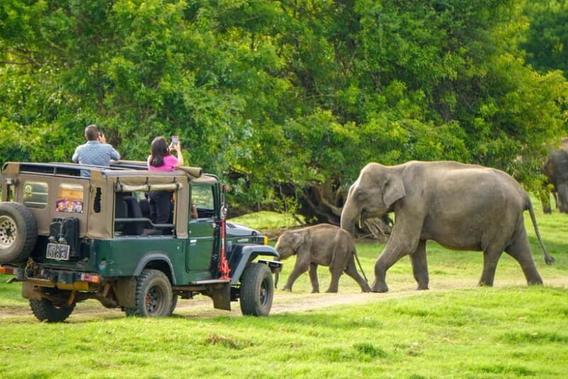 From Dambulla, Sigiriya: Polonnaruwa Tuk Tuk Day Tour - Final Thoughts