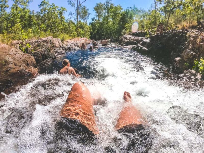 From Darwin: 1-Day Litchfield & Waterfalls Tour - A Deep Dive into the Journey: What to Expect