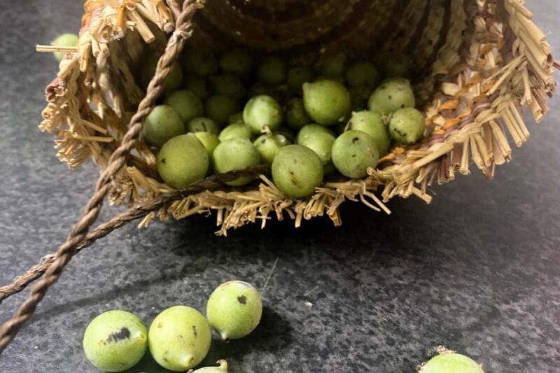 From Darwin: 2-Day Kakadu Cooinda & Yellow Water Cruise - FAQ