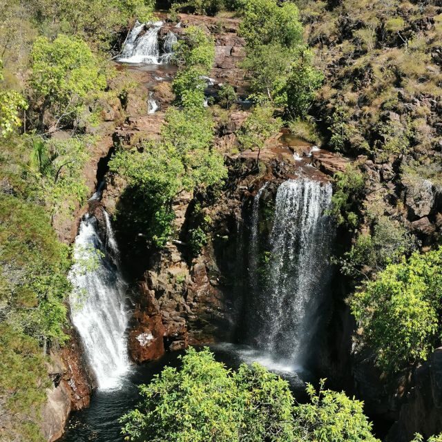 From Darwin: Litchfield National Park Small-Group Day Trip - An In-Depth Look at Your Day in Litchfield National Park