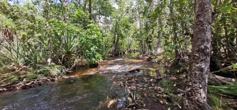 From Darwin: Litchfield National Park Small-Group Day Trip - Practical Details and Value Analysis