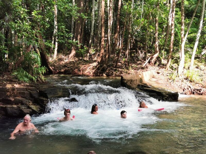 From Darwin: Litchfield National Park Small-Group Day Trip - Final Thoughts: Who Should Book This Tour?