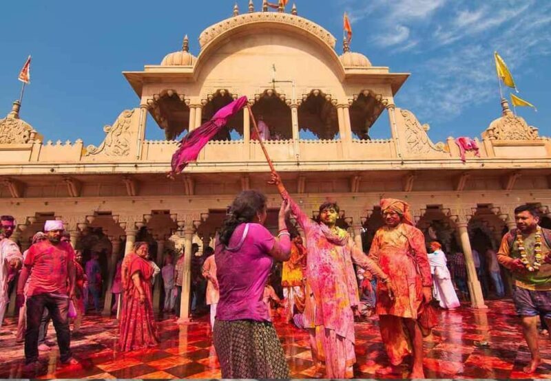 From Delhi: 1-day trip Mathura with Elephant conservation - Final Thoughts