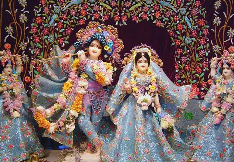 From Delhi: 1-day trip Mathura with Elephant conservation - Key Points