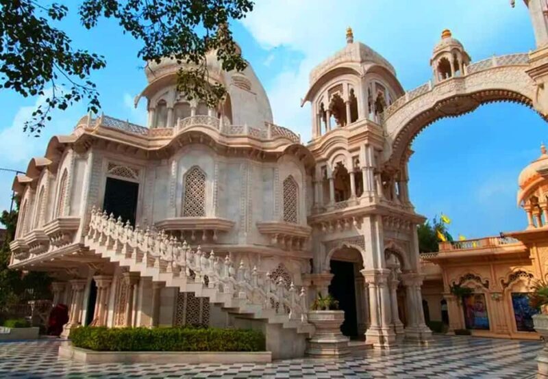 From Delhi: 1-day trip Mathura with Elephant conservation - The Elephant Conservation Experience: Genuine Connection with Nature