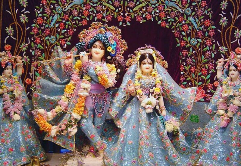 From Delhi: 1-day trip Mathura with Elephant conservation - What We Appreciated Most