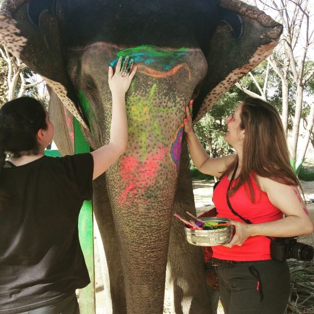 From Delhi: 3-Day Golden Triangle Tour with 5 & 3 Star Hotel - A Closer Look at the Itinerary