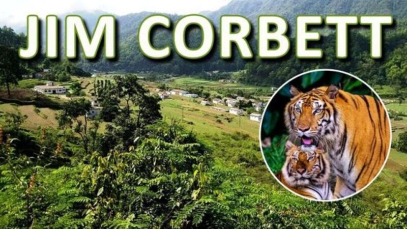 From Delhi: 3-Day Wildlife Trip to Jim Corbett National Park - Key Points