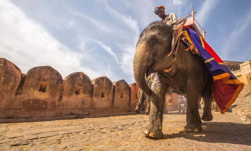From Delhi: 4-Day Golden Triangle Delhi, Agra, & Jaipur Tour - An In-Depth Look at the Tour Experience