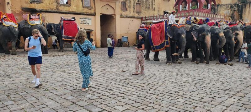 From Delhi: 4 Days Golden Triangle Tour with Ranthambore - Final Thoughts