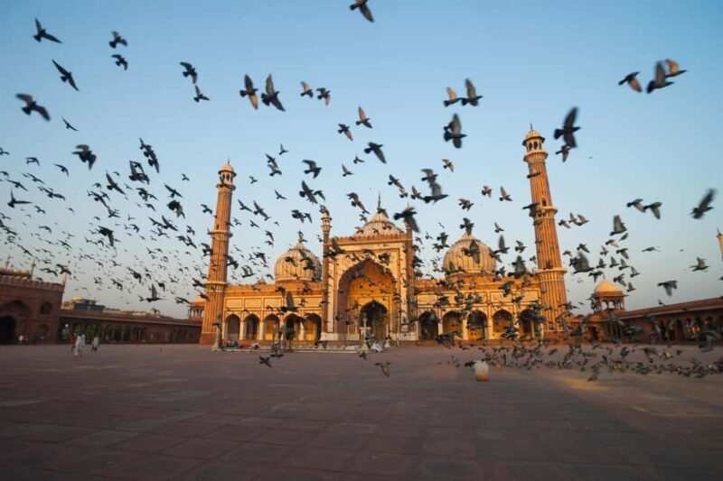 From Delhi: 4 Days Guided Tour to Agra, Ranthambore & Jaipur - Who Should Consider This Tour?