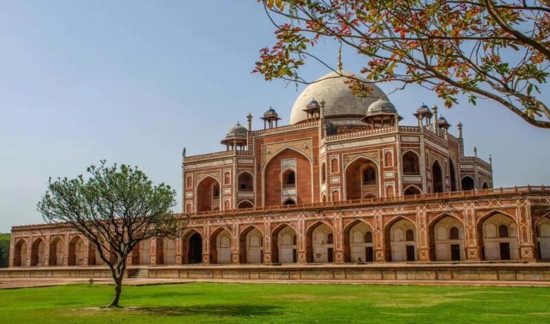 From Delhi: 5-Day Golden Triangle and Tiger Safari Tour - Key Points