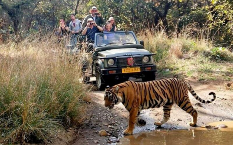 From Delhi: 6-Day Golden Triangle Tour with Ranthambore - A Closer Look at the Itinerary
