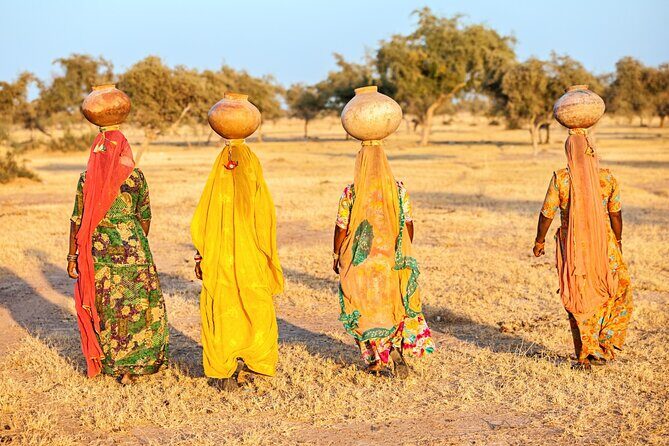 From Delhi: 8 Day Tiger Safari and Golden Triangle Tour - Exploring the Itinerary in Detail